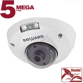 IP камера B5320DMR