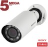 IP камера SV3210R