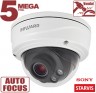 IP камера SV3215DVZ