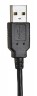 Гарнитура Accutone UB610 USB, 2 наушника, антивандальная, рег. громк, откл. микрофона